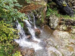 -花溪风景区