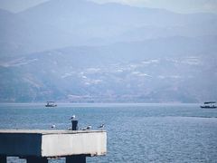 -西昌邛海湿地