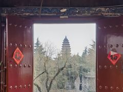 -洛阳白马寺