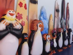 -芜湖新华联大白鲸海洋公园