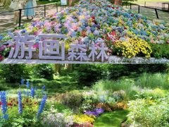 -上海共青森林公园