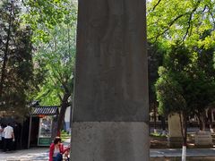 -赵州桥景区