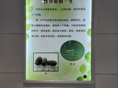 -上海昆虫博物馆