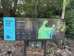 -墨尔本皇家植物园