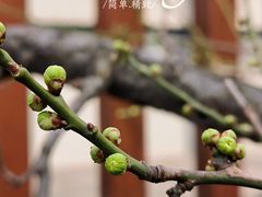 -静安雕塑公园