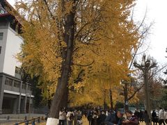 -四川大学(华西校区)