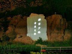 -禅宗少林·音乐大典
