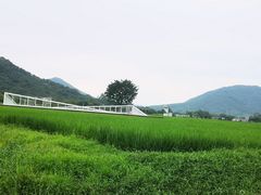-艾米稻香小镇