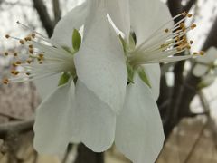 -马家湾湿地公园