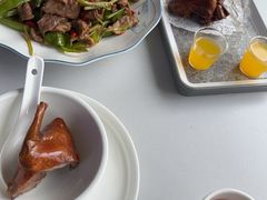 -鸽小宝(深圳首店)