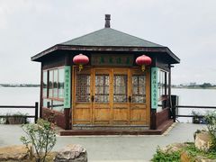 -鹅湖玫瑰文化园
