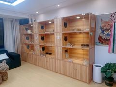 -猫十亿·布偶金渐层·曼基康矮脚猫舍(青年路店)