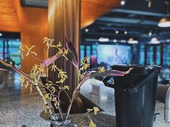 -sugarman espresso素饮糖人高新咖啡工厂