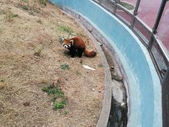 -无锡动物园·太湖欢乐园