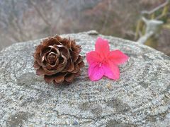-木兰云雾山