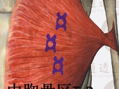 -通透堂中医·精准推拿(旗舰店)