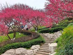 -重庆彩云湖湿地公园
