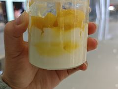 -连杏双皮奶(长沙国金店)