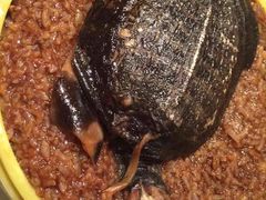 -王朝大酒店徐汇店-地面停车场