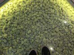 -狐狸和向日葵(北京路店)