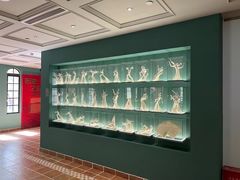 -上海体育博物馆