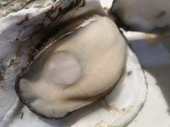 -烧蠔帮·湛江生蚝(工农店)