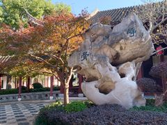 -檀园