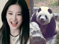 -TSK齿科德申会口腔门诊·联洋诊所
