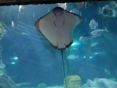 -南昌海洋公园