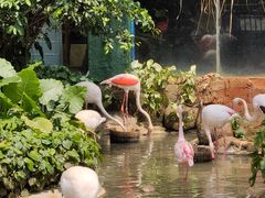 -海南热带野生动植物园
