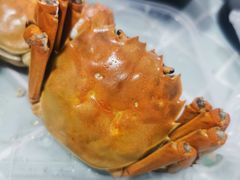 -黄记大闸蟹专卖店·活蟹·醉蟹