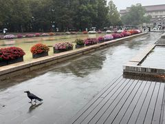 -东京国立博物馆