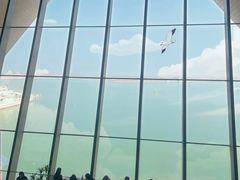 -抱抱地球咖啡馆(国家海洋博物馆店)