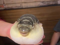 -永安鱼庄·镇江菜(丁卯店)