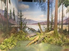 -国家自然博物馆