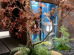 -椿杨樘·明康泡浴养生馆(重庆店)