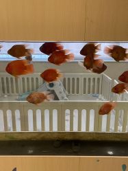 -杭州贝瑞斯美华妇儿医院·早孕·产检·儿科