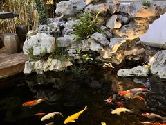 -道南書院·私房菜·早午茶·茶馆