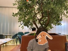 -悦海·家宴·冰花皮皮虾大锅贴(宝龙店)