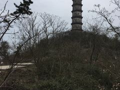 -巢湖姥山岛