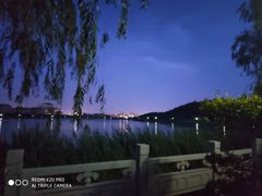 -大港湿地公园