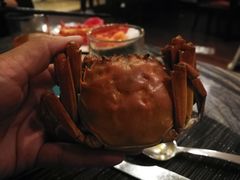 -长沙北辰洲际酒店-兰调全日餐厅