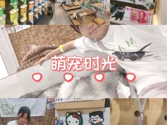 -星多哈·狗咖·拼豆·咖啡