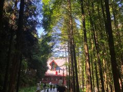 -山王坪喀斯特国家生态公园