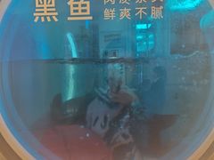 -鱼酷活鱼烤鱼(沈阳大悦城店)