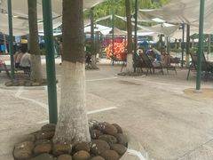 -重庆海昌加勒比海水世界