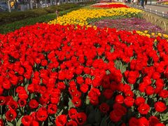 -玄武湖景区-情侣园游乐场