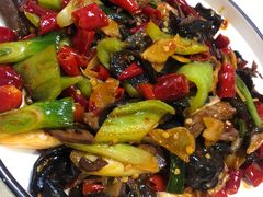 -雲蜀龙阁·金牌水煮鱼(方庄店)