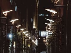 -金莲花广场