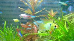 WP_20141108_002-小左美发